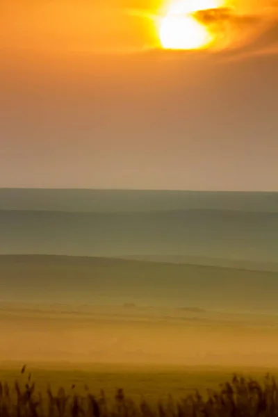 Naturaleza Atardecer Pájaro Atardecer Naturaleza Fondo — Foto de Stock