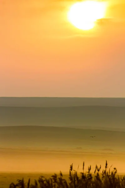 Naturaleza Atardecer Pájaro Atardecer Naturaleza Fondo — Foto de Stock