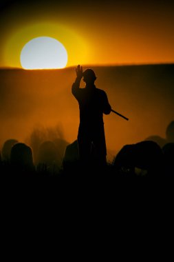 Gün batımı ve çoban. Kırmızı ve siyah doğa arka plan. Gün batımı doğası.