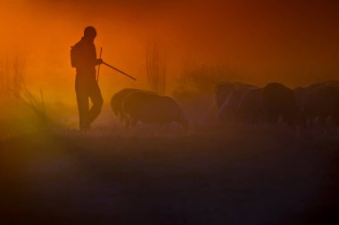 Gün batımı ve çoban. Kırmızı ve siyah doğa arka plan. Gün batımı doğası.
