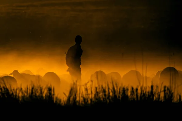 日落和牧羊人 红色和黑色自然背景 日落自然 — 图库照片