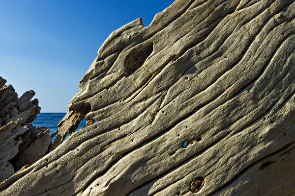 Doğal ahşap detay. Doğa deseni arka planı.  