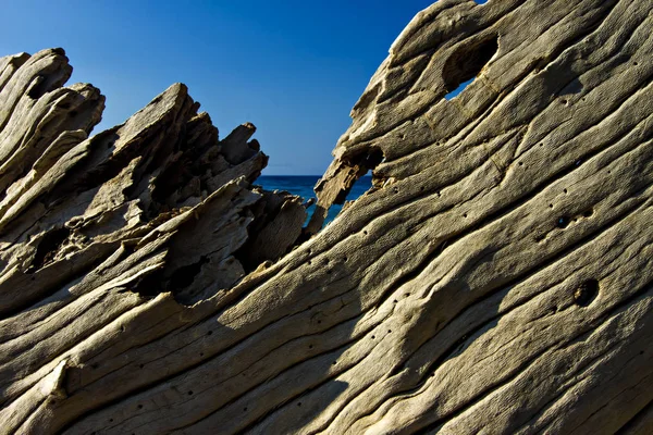 Doğal ahşap detay. Doğa deseni arka planı.  