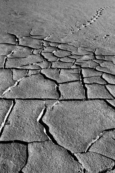 Terra Seca Pegada Aves Preto Paisagem Branca Fotografia Natureza Fundo — Fotografia de Stock