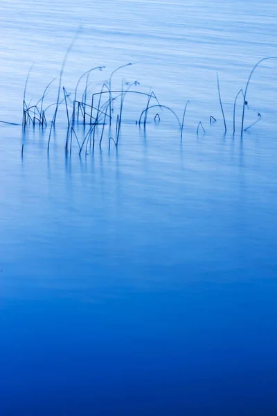 Bunte Wasser Natur Hintergrund Abstrakte Wassernatur Hintergrund Pflanzen Und Spiegelungen — Stockfoto