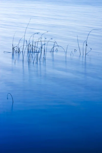 Fundo Colorido Natureza Água Abstrato Fundo Natureza Água Plantas Reflexões — Fotografia de Stock