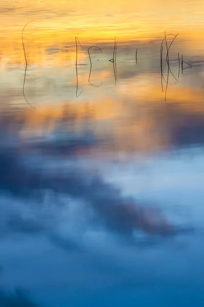Bunte Wasser Natur Hintergrund Abstrakte Wassernatur Hintergrund Pflanzen Und Spiegelungen — Stockfoto