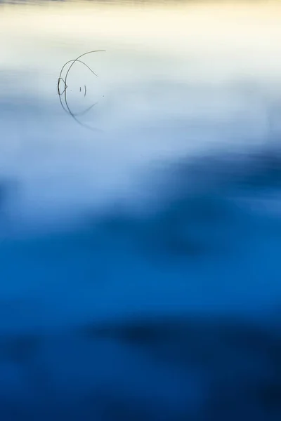 Bunte Wasser Natur Hintergrund Abstrakte Wassernatur Hintergrund Pflanzen Und Spiegelungen — Stockfoto