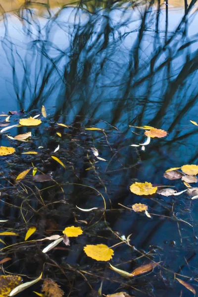 Outono Fotografia Paisagem Fundo Florestal Colorido Ancara Cubuk Karagol Turquia — Fotografia de Stock