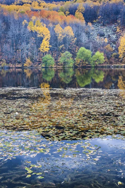 Autumn Landscape Photography Colorful Forest Background Ankara Cubuk Karagol Turkey — Stock Photo, Image