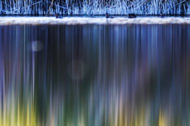 Doğa ve kuş. Su doğa arka plan. 