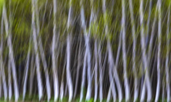 Natur Art Motion Blur Background — Stock Photo, Image