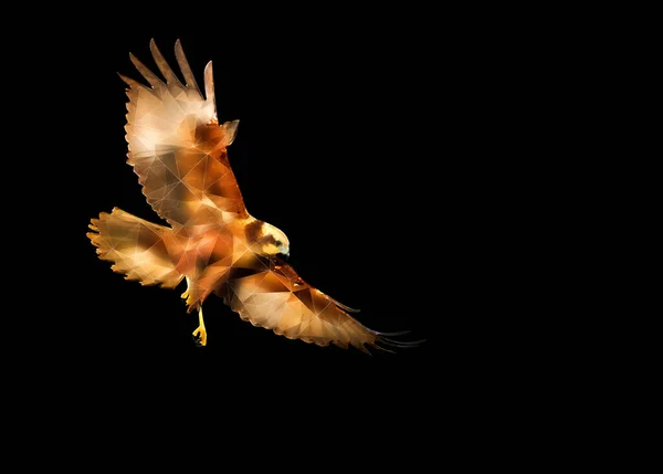 Meerhoekige Vogel Afbeelding Geometrische Lage Polykunst Witte Achtergrond — Stockfoto