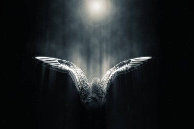 Kuşlar: Yaratıcı soyut doğa. Koyu arkaplan.