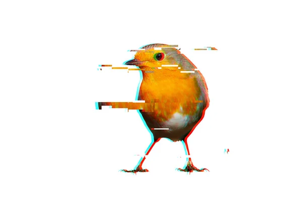 Tvůrčí Abstraktní Povaha Bílé Pozadí Ilustrace Pták Robin — Stock fotografie