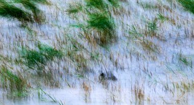 Soyut doğa. Hareket bulanık arkaplan. Renkli doğa arkaplanı.