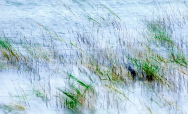 Soyut doğa. Hareket bulanık arkaplan. Renkli doğa arkaplanı.