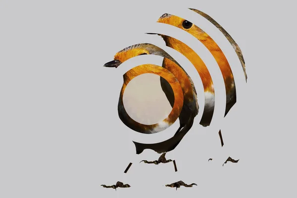 Schattig Vogeltje Robin Een Surrealistisch Beeld Van Natuur Grijze Achtergrond — Stockfoto