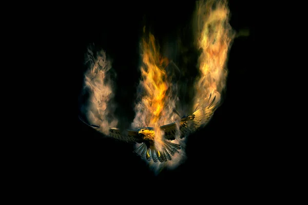 stock image Abstract nature. Flying bird. Dispersion effect. Black background. Bird of prey.