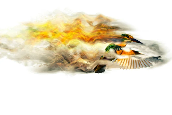 Abstracte Natuur Vogels Verspreidingseffect Witte Achtergrond — Stockfoto