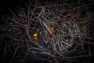 bir şenlik ateşi aydınlatma