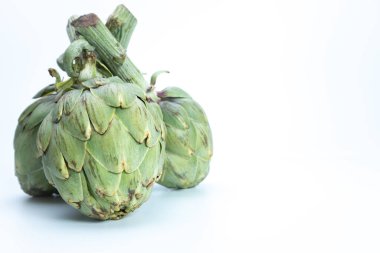 Beyaz arkaplanda yeşil enginar