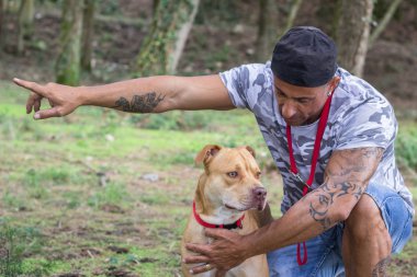 Adam açık havada onun çukur boğa köpek eğitiyor