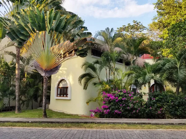 Renkli tropikal Karayipler tarzı ev, girişinde palmiye ağacı ile. Playa del Carmen, Meksika