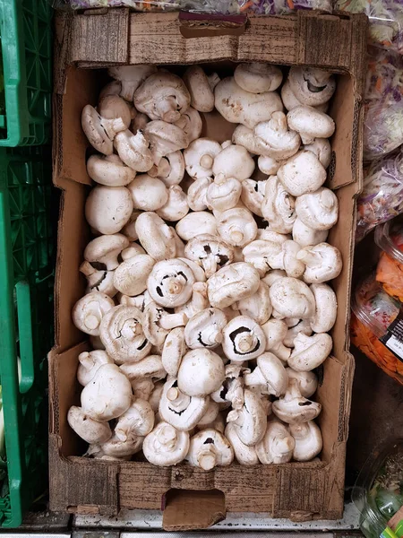 Champignons Rustiques Légumes Sur Marché — Photo