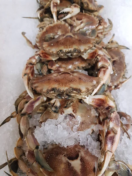 Taze ve çiğ yengeç, pazarda taze balık.