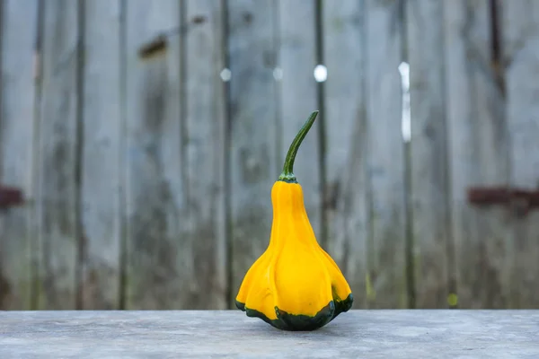 Yakın çekim, sarı-yeşil kabak
