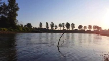 Sabahın erken saatlerinde Drava Nehri. Nehir akar. Bölge, Hırvatistan'ın kuzeyi.