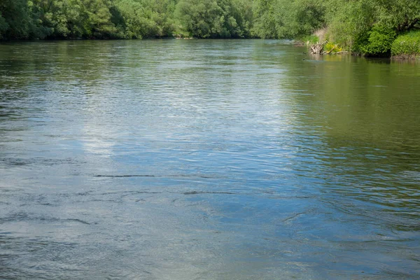 Közelkép Egy Csendes Tóról Parkban — Stock Fotó