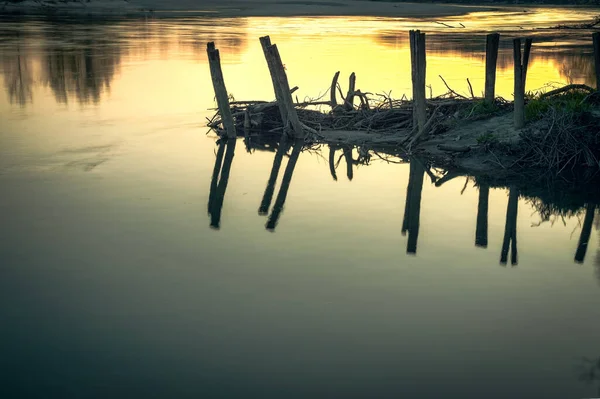 Piękne Ujęcie Brzegu Jeziora Podczas Złotej Godziny — Zdjęcie stockowe