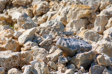 Küçük beyaz kaya parçalarının yakın plan çekimi.