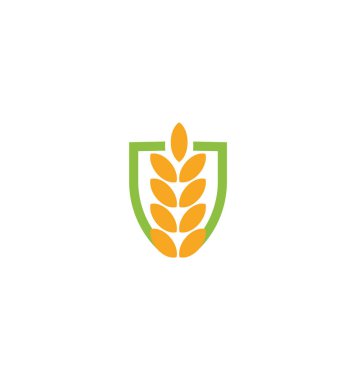 Buğday vektör tahıl simgesi izole soyut turuncu renkli buğday kulak hearldic logo. Doğa eleman logo. Tarım organik ürün işareti. Vektör çizim hasat