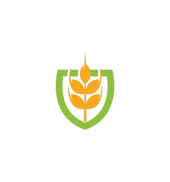 Ícone de grão vetorial de trigo Isolado abstrato cor laranja trigo ouvido logotipo hearldic. Logotipo do elemento natureza. Sinal de produto orgânico agrícola. Ilustração do vetor de colheita —  Vetores de Stock