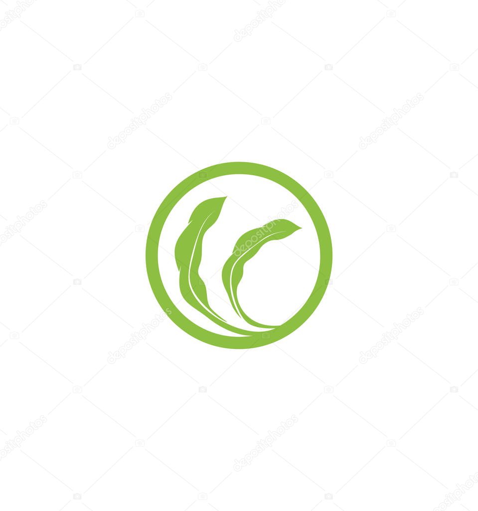 Soybeans vector icon Isolated abstract green color beans round logo. Nature element logotype. Agricultural organic product sign. Harvesting vector illustration.