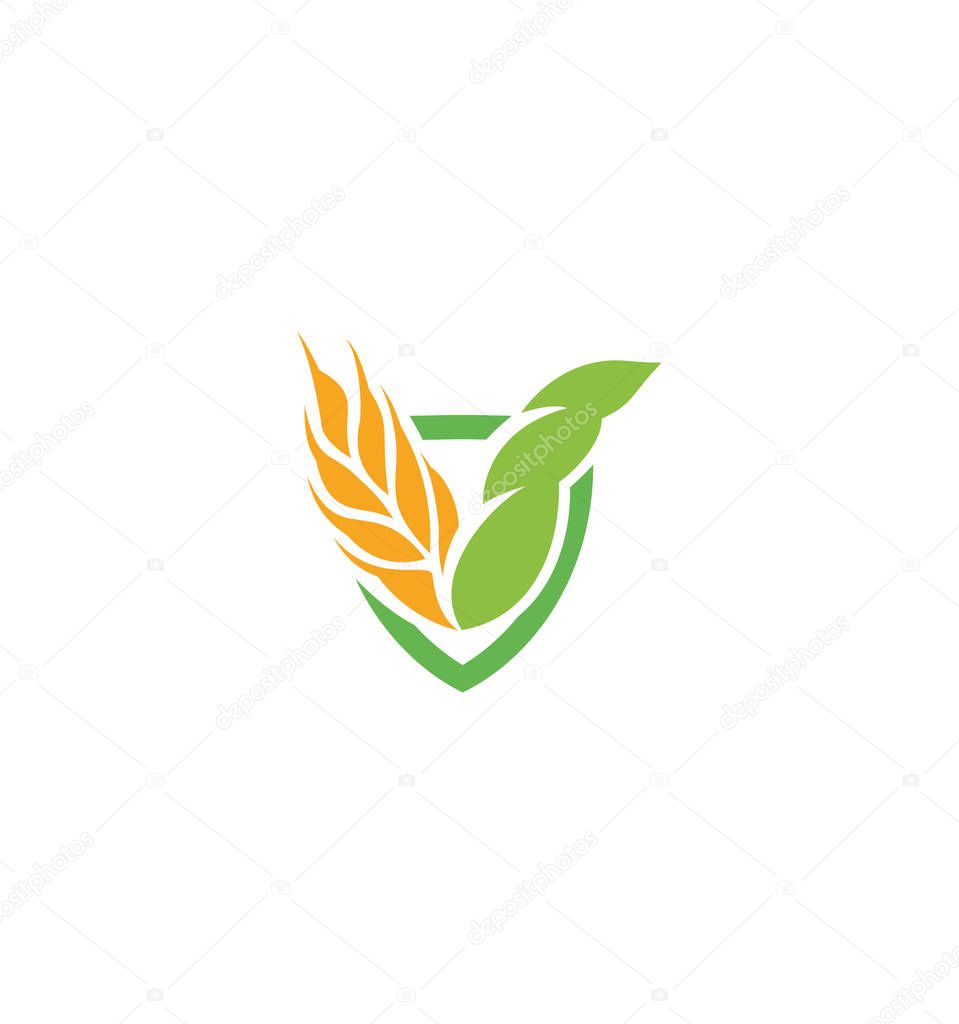 Wheat vector grain icon Isolated abstract orange color wheat ear hearldic logo. Nature element logotype. Agricultural organic product sign. Harvesting vector illustration