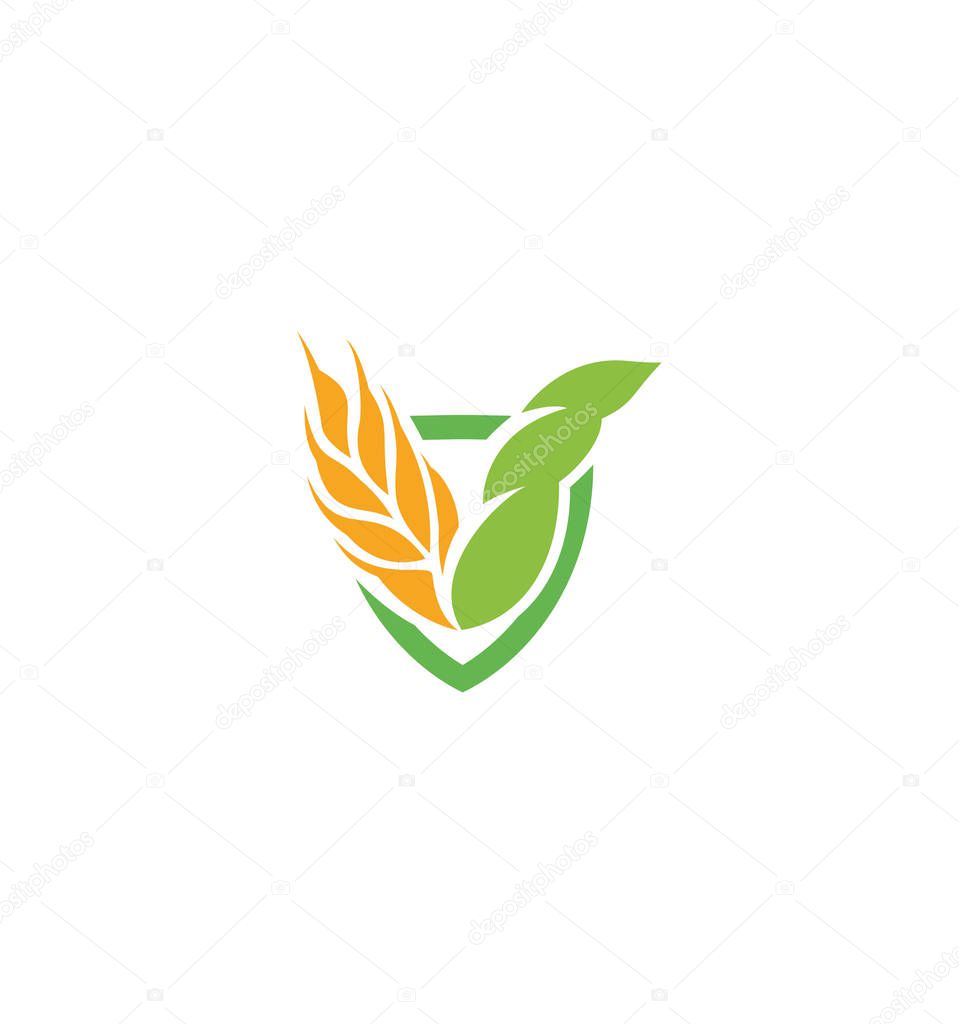Wheat vector grain icon Isolated abstract orange color wheat ear hearldic logo. Nature element logotype. Agricultural organic product sign. Harvesting vector illustration.