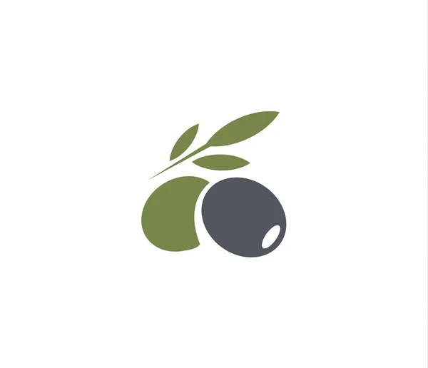 Um emblema de azeitonas. Azeite logotipo elemento. Ramo de azeitona verde, folhas e fruto. Sinal alimentar natural . —  Vetores de Stock