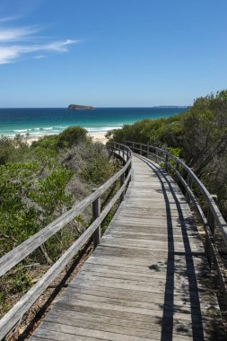 Sydney'de güzel Plajı