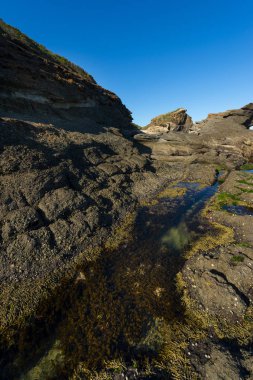 Sydney'de güzel Plajı