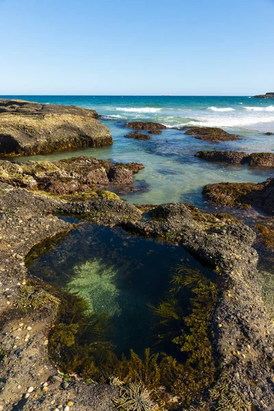 Beautiful Beach Sydney — Stock Photo, Image