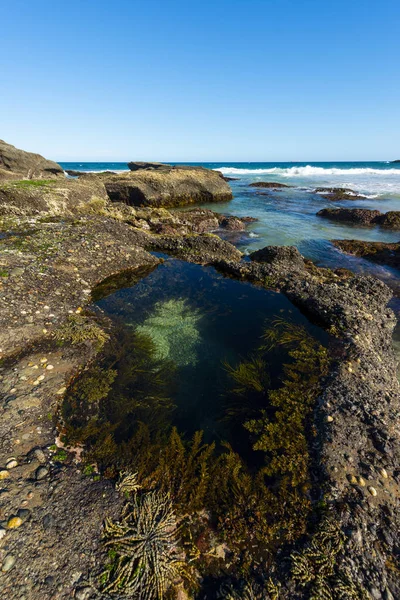 Belle Plage Sydney — Photo