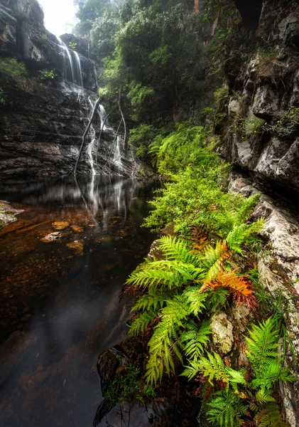 Kanangra Boyd Watervallen Blauwe Bergen Nationaal Park Gebied — Stockfoto