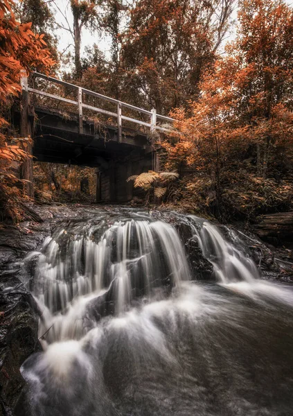 Belmore Falls Egyik Legszebb Vízesés Sydney Déli Részén Stock Kép