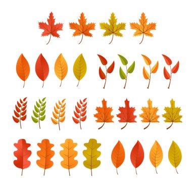 Sonbahar çizimleri için bir güz yaprağı seti. Ekim geçmişi için yeşillik koleksiyonu. Çiçek deseni için akçaağaç portakalı yaprakları. Vektör sonbahar elementleri.
