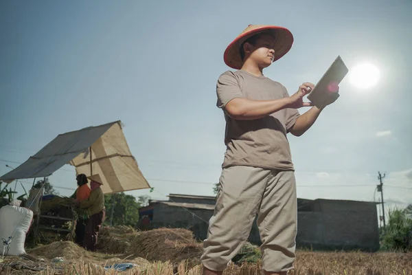 Gli Agricoltori Asiatici Supervisionano Suoi Campi Con Una Tecnologia Sofisticata — Foto Stock