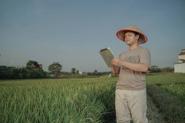 Agricoltori Asiatici Supervisionano Suoi Campi Con Sofisticate Tecnologie Sera — Foto Stock